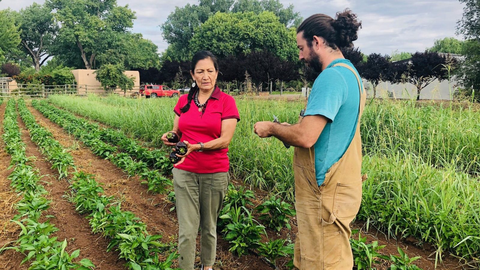 Deb Haaland holding eggplants in hand while speaking with a farmer in the middle of an eggplant field