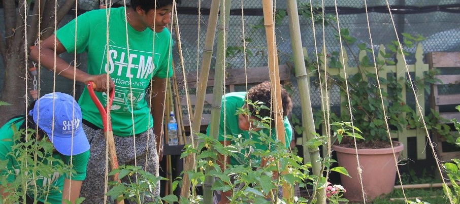 Students working in the garden.