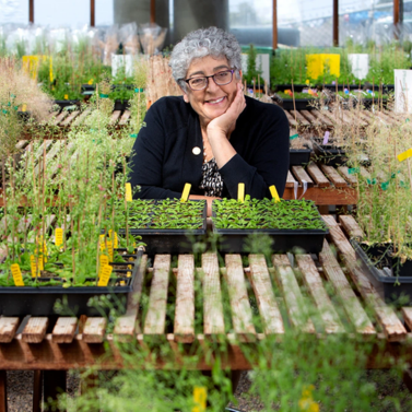 Dr. Joanne Chory at her laboratory at the Salk Institute, posing with her plant specimens.