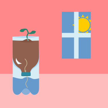 Illustrated GIF depicting the steps to make a self-watering bottle planter.