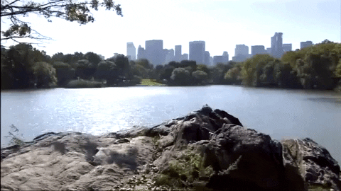 GIF featuring the passage of time for a sunny day in Central Park